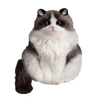 кот бело серый